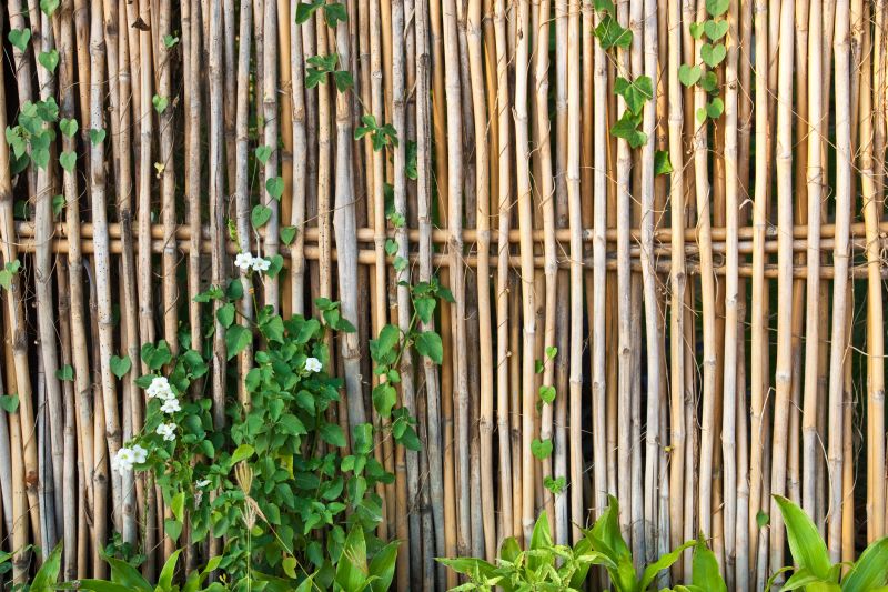Bamboo Fences